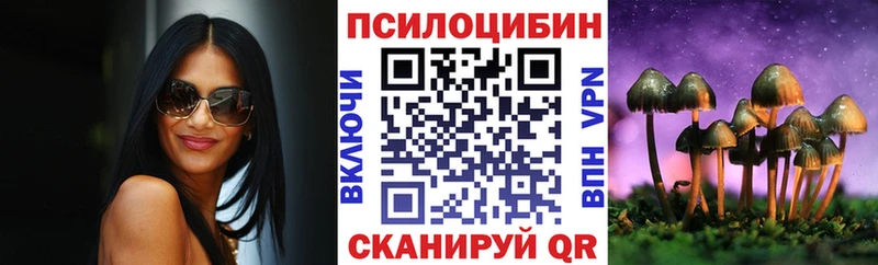 Купить  Топки  Псилоцибиновые грибы MAGIC MUSHROOMS 